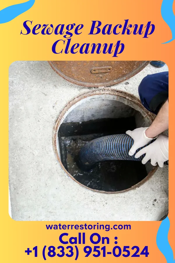 Sewage Backup Cleanup in Augusta, ME